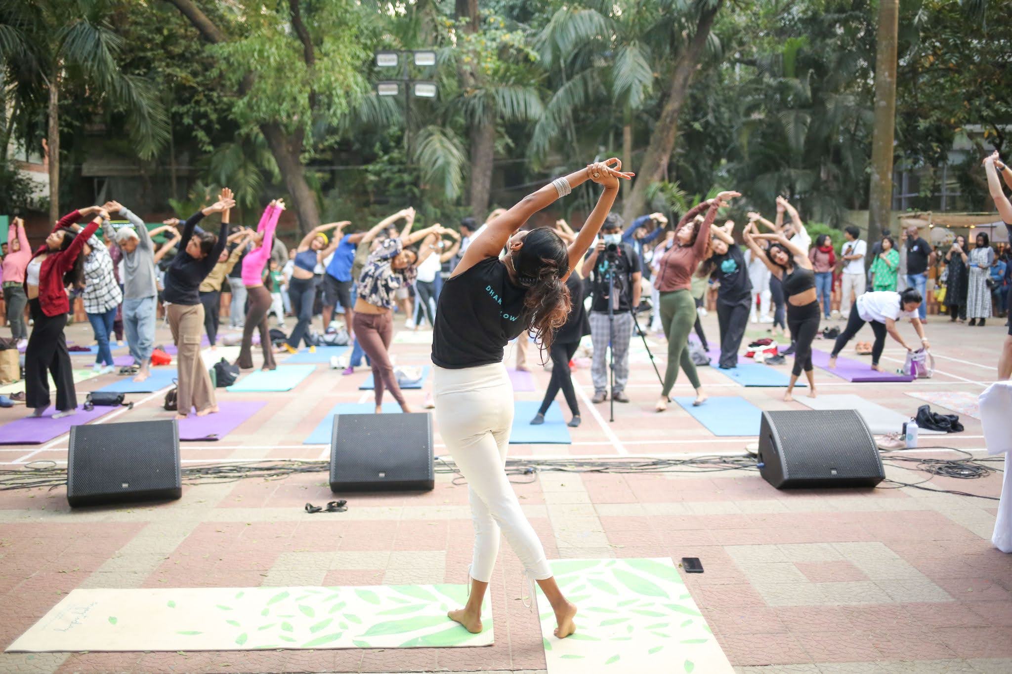 Coaches - Certified mindfulness and wellness coaches guiding transformative journeys